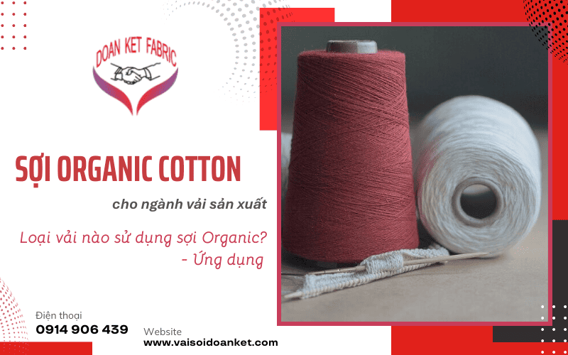 Sợi Organic Cotton