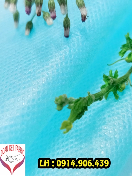 Vải không dệt