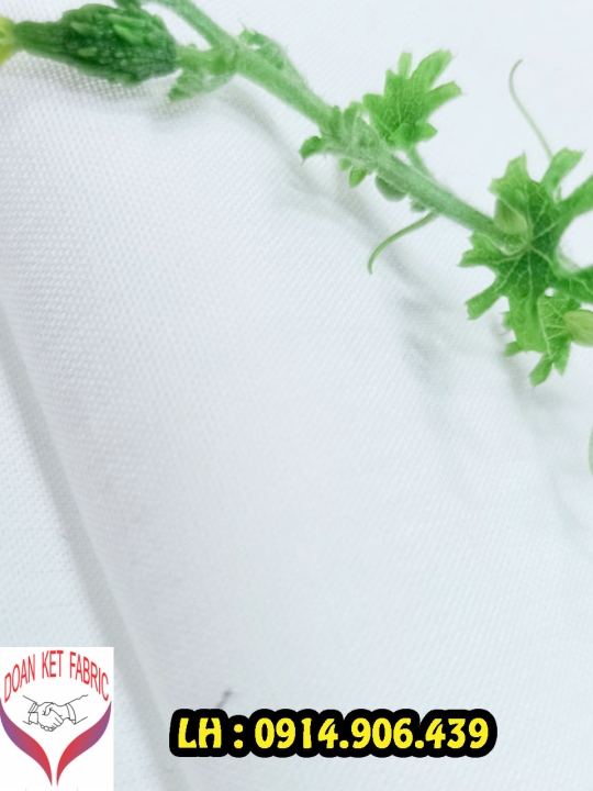 Vải Cotton 100%
