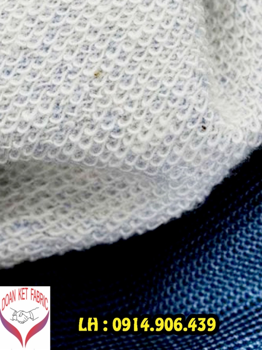 Vải chân cua TC 35/65
